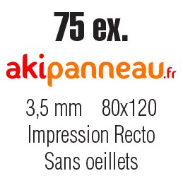 80x120 cm • 75 ex • Recto •...