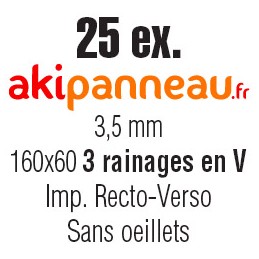160x60 cm • 3 rainages • 25...